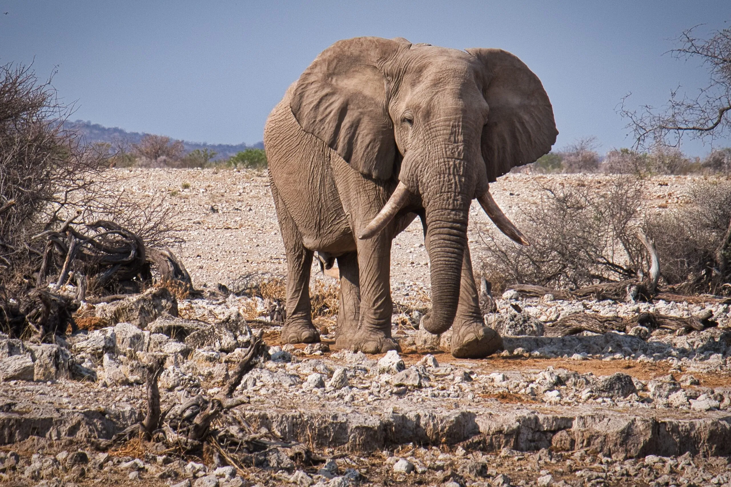 Namibia – Bloß nicht? Die Wahrheit über das beliebte Reiseziel im Faktencheck